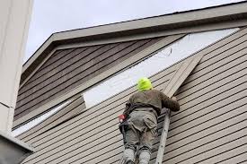 Best Vinyl Siding Installation  in Wurtland, KY